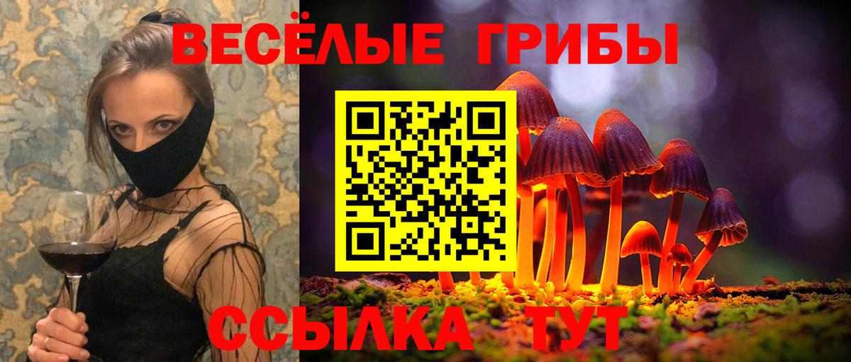 Псилоцибиновые грибы Cubensis Каспийск