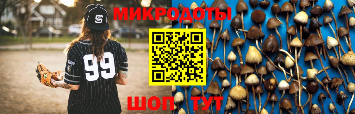 Псилоцибиновые грибы GOLDEN TEACHER  Вход с VPN  Псилоцибиновые грибы Psilocybine cubensis  Каспийск 
